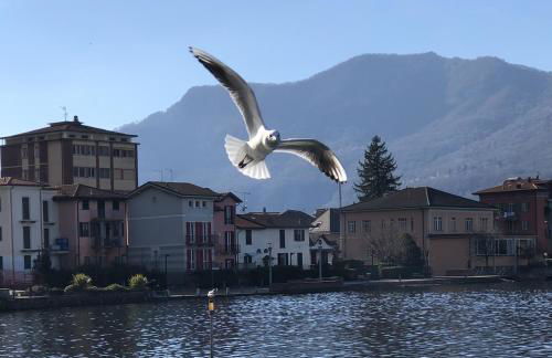 La Solatìa - Photo 72