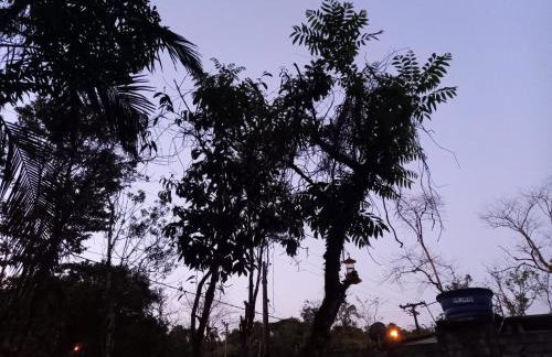 Chacara Bertioga - Foto 3