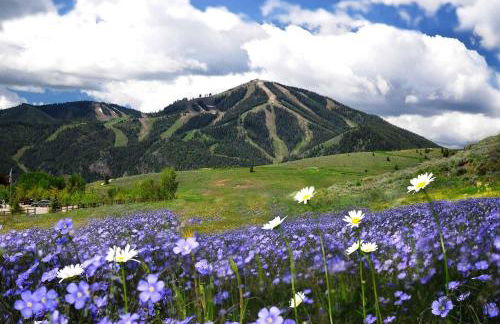 Knob Hill Ridge Townhome 1 - Foto 25