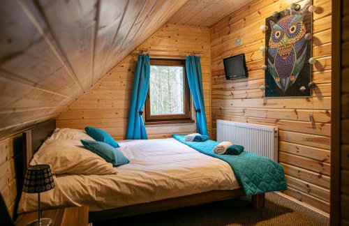 Domek całoroczny SÓWKA na Kaszubach z banią i sauną na wyłączność, wspólny basen i bilard z domkiem Jeleniówka - Ostrowite Leśna Dolina - Foto 35