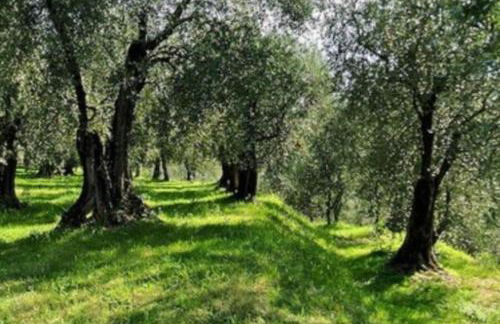 Il Nido di Cristina - Foto 24