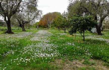 Green House!!! - Foto 32