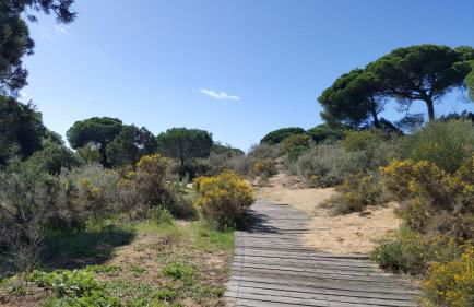 playa y naturaleza - Foto 15