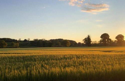 Brownhills - Foto 41