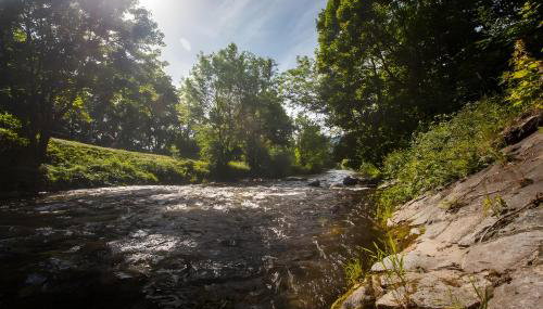 Ferienwohnung Mengeler - Foto 5