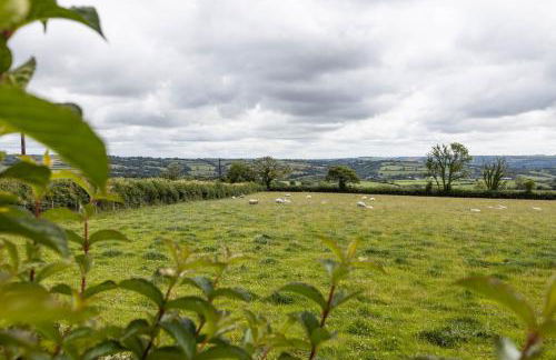 Bryniago Whitland - Foto 24