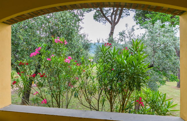 Tenuta San Lazzaro - Foto 49