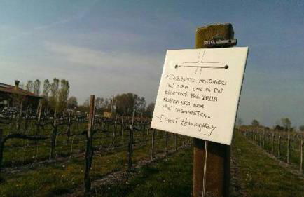 Country House Salomè - Foto 67