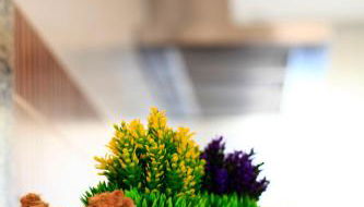 Benestar In Jalon Valley - Foto 2