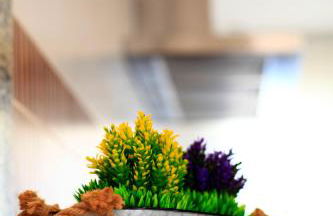 Benestar In Jalon Valley - Foto 2