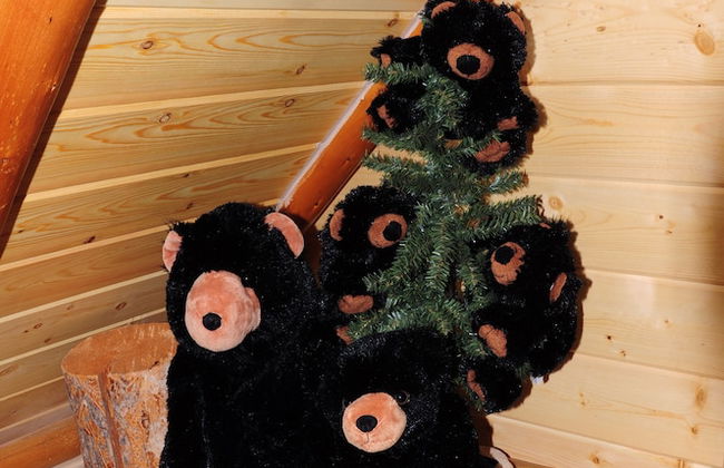 Grandma's Cabin - Foto 25