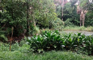 RECANTO DO SABIÁ - Foto 26