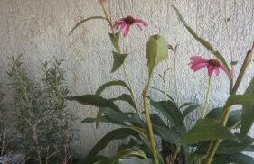 Apartment Butterfly Split - for rest and relaxation - Foto 32