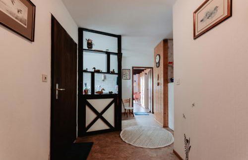 Olifant in Osterode - Foto 64