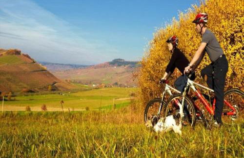 Wine Country Apartment - Foto 38