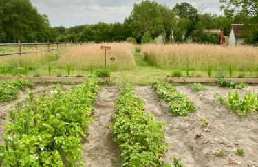 Maison Moz - Foto 29