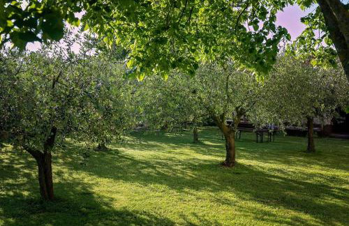 Studio Apartment - Foto 25