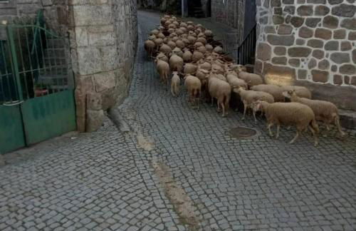 19th Centry Farmhouse Getaway - Sleep 12-14 W/pool - Foto 98