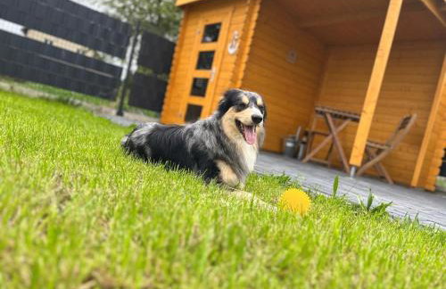 Ferienhaus Laura 70qm bis 5 Gäste mit Fass-Sauna, Whirlpool April bis Oktober, 75qm Terrasse und eingezäunten Garten Haustiere willkommen - Photo 34