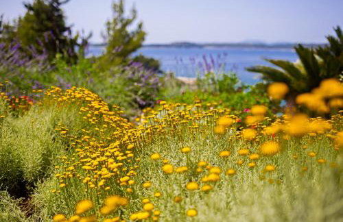 Blue Bay Residence - Foto 44