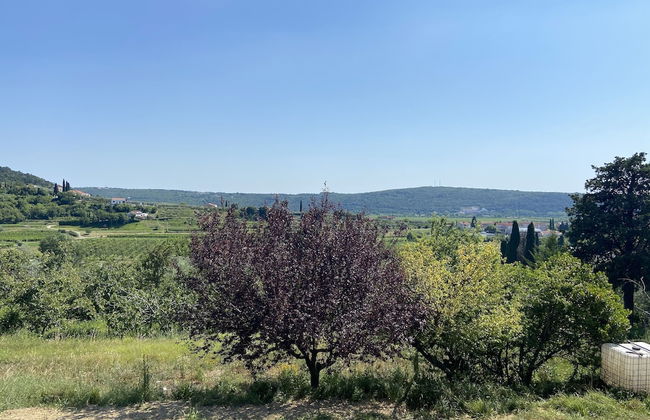 Villa Olive Oasis - Foto 16