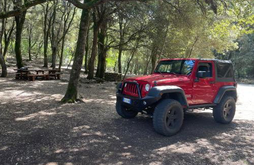 La Pergola - Foto 76