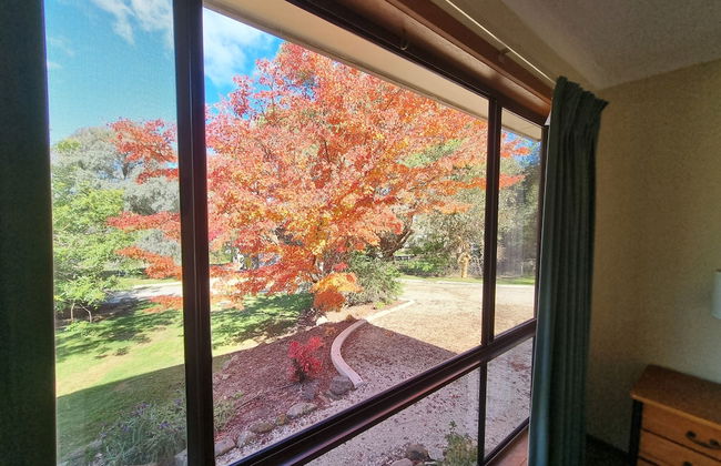 Golden Heritage Apartments Beechworth - Foto 28