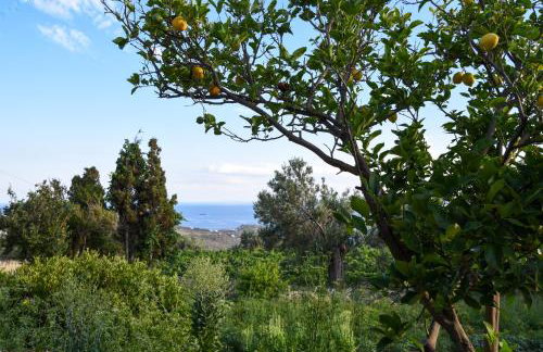 K vineyard house - Foto 30