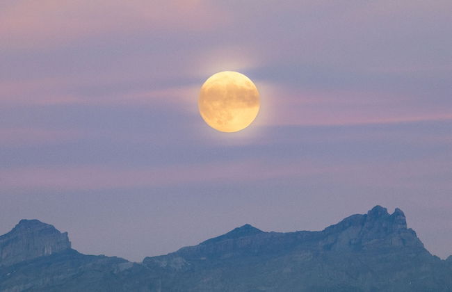 domaine du deven - Foto 54