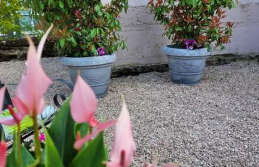 Marien Turm - Foto 26