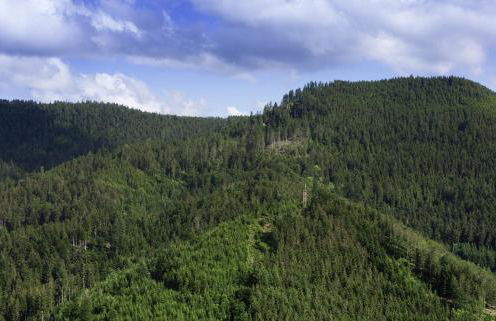 Sagenhafter Ausblick - Foto 19