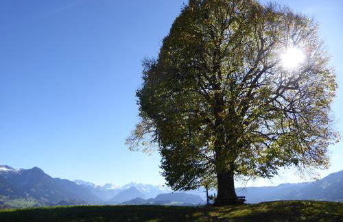 Ferienwohnung Am Kräutergarten - mit Pool, Sauna und Garage - Foto 29