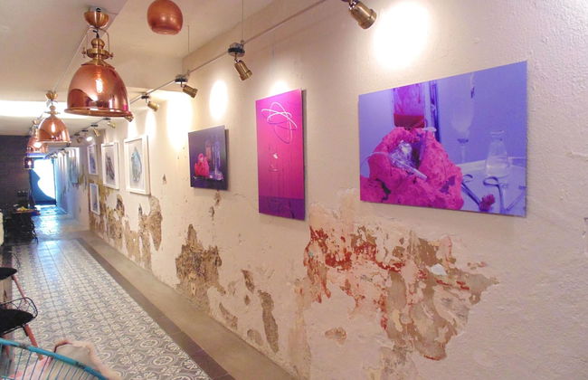 Coyotito Beds Coyoacán - Foto 13