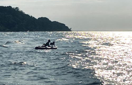 Lille Hus - nah am Meer I Entschleunigen im Grünen - Foto 32