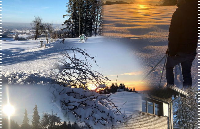 Apartment in the Waxenegg Country House - Photo 20