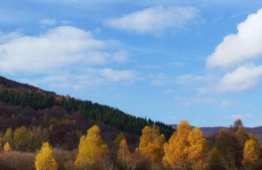Kuća za odmor Sichelberg - Foto 26