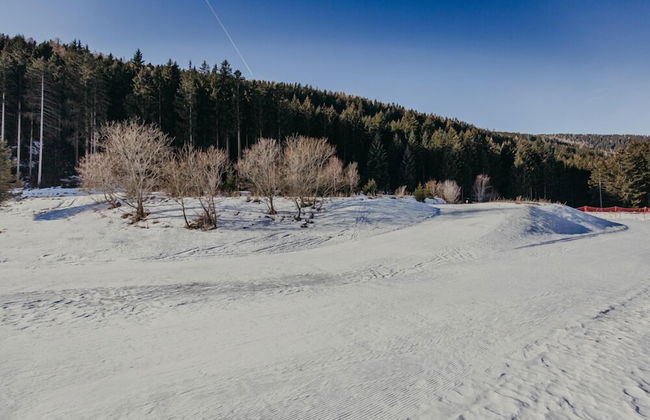 Maso nel bosco - Photo 19