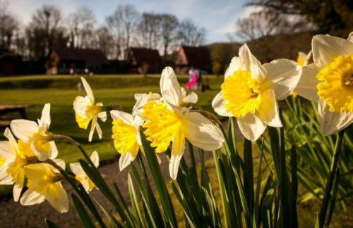 River Edge Lodges - Foto 40