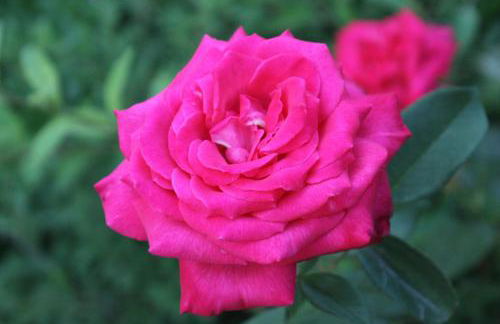 atico en Las Americas Islantilla primera línea de playa - Photo 66