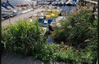 Simply Good Appartment - Foto 16