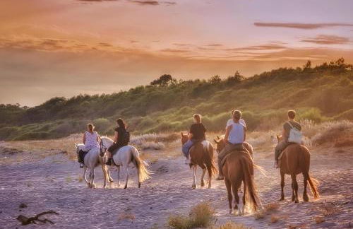 Casa Orchidea - Foto 10