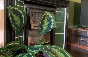 Hidden gem in heart of Breckland - Foto 40