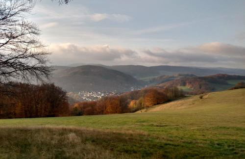 Lavender Hill - Foto 16