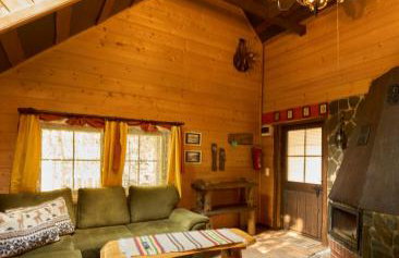 Siedlisko Janopole - Foto 43