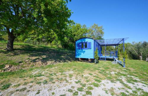 Poggio Diavolino - Suvereto - Foto 49