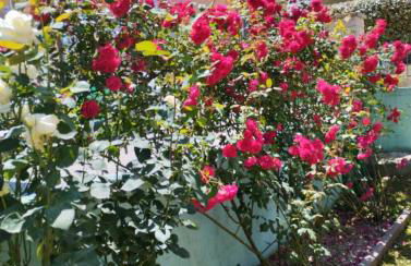 Labrini's Apartment in Ioannina - Foto 26