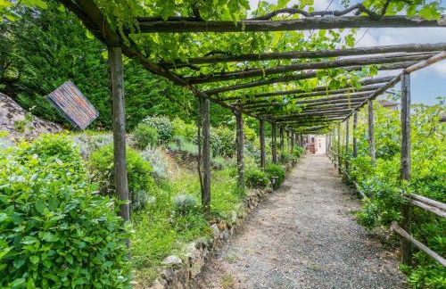 Apartment Monache 4 by Interhome - Foto 44