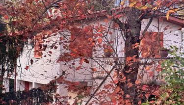 Il Bosco Guest House Subiaco - Foto 2