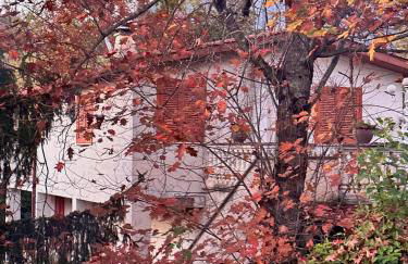 Il Bosco Guest House Subiaco - Foto 2