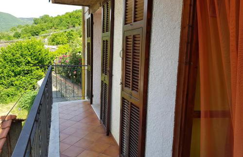 Green House - Foto 9